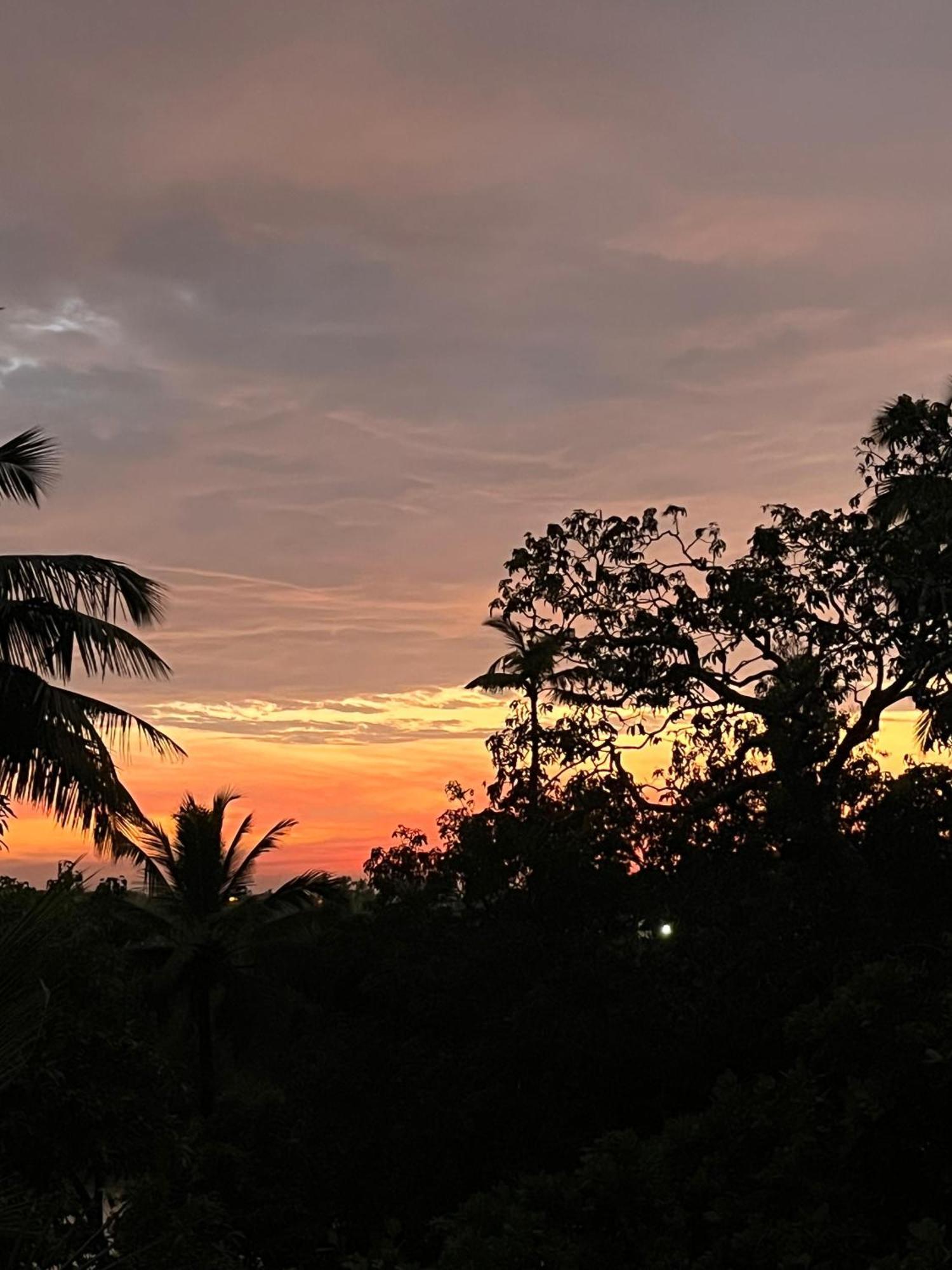 Green Nest Hostel, Baga- North Goa Arpora Buitenkant foto