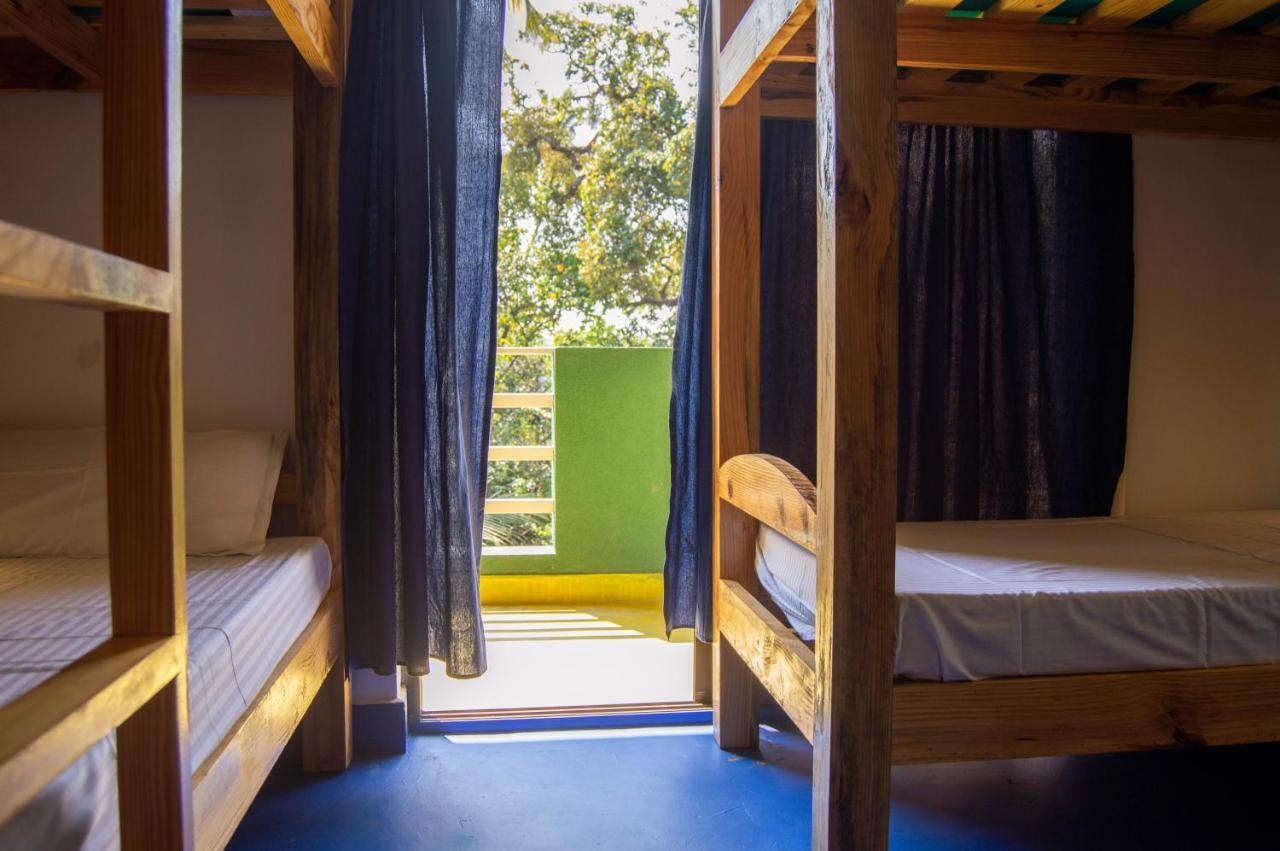 Green Nest Hostel, Baga- North Goa Arpora Buitenkant foto